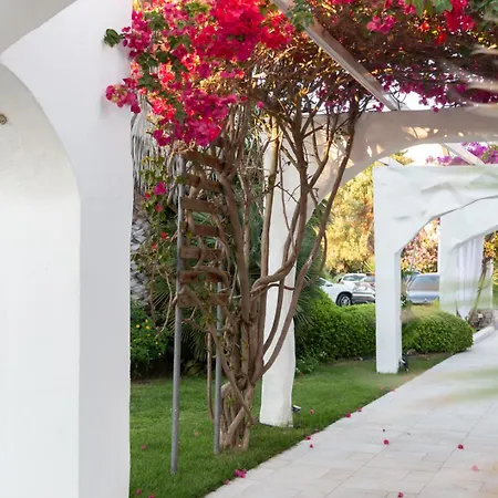 Edelweiss 3* باكولي